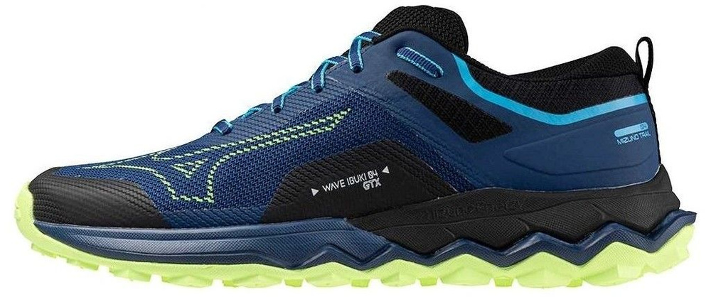 Кроссовки Mizuno Wave Ibuki 4 Gtx #1