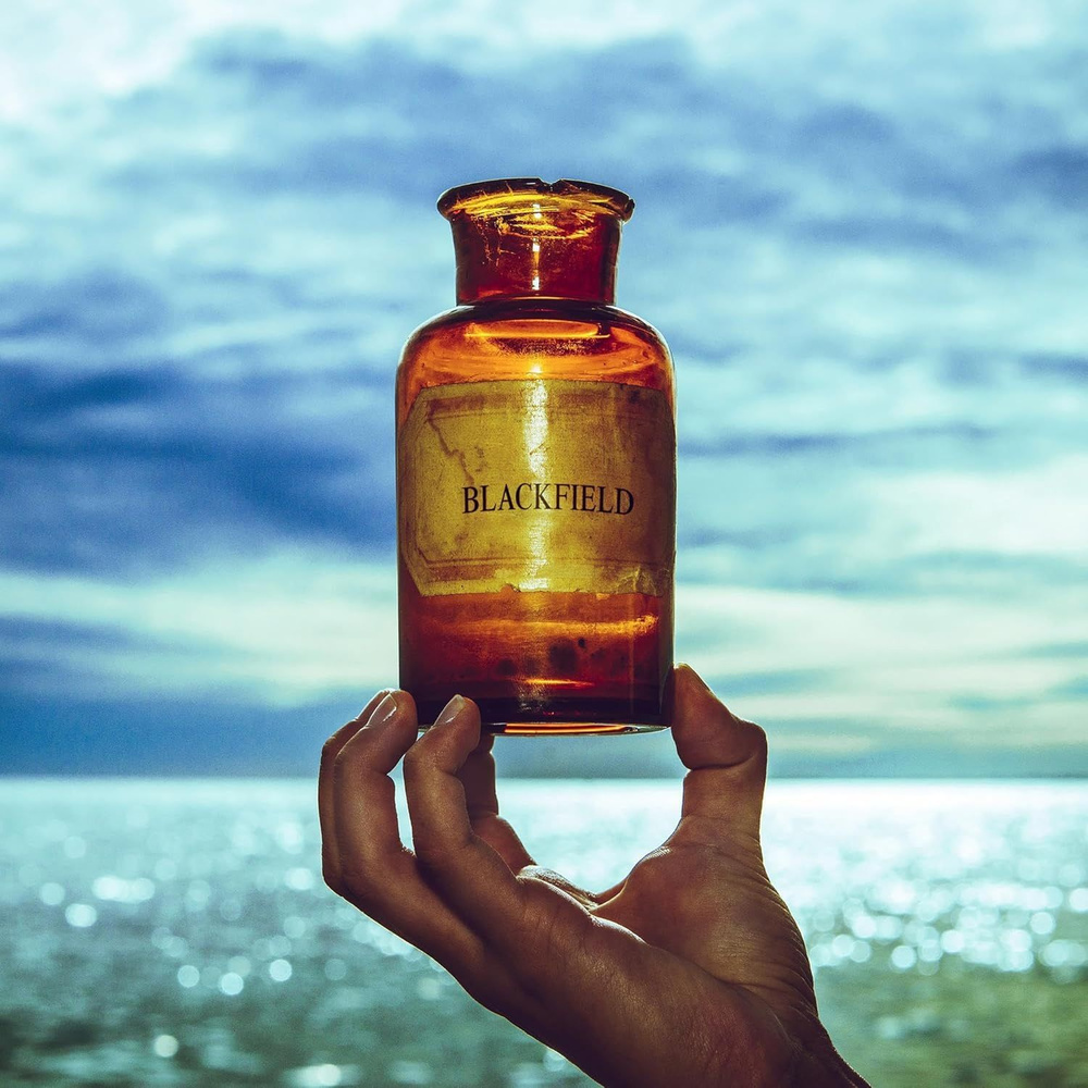 Виниловая пластинка Blackfield V 2022 lp #1