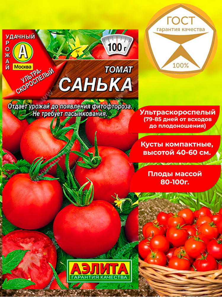 Семена томата Санька. Томат низкорослый, ультраскороспелый. Отличные вкусовые качества, ароматный.  #1