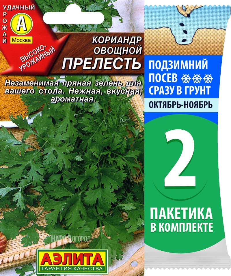 Семена Кориандр овощной (кинза) Прелесть, 2 пакетика по 3г/220шт  #1