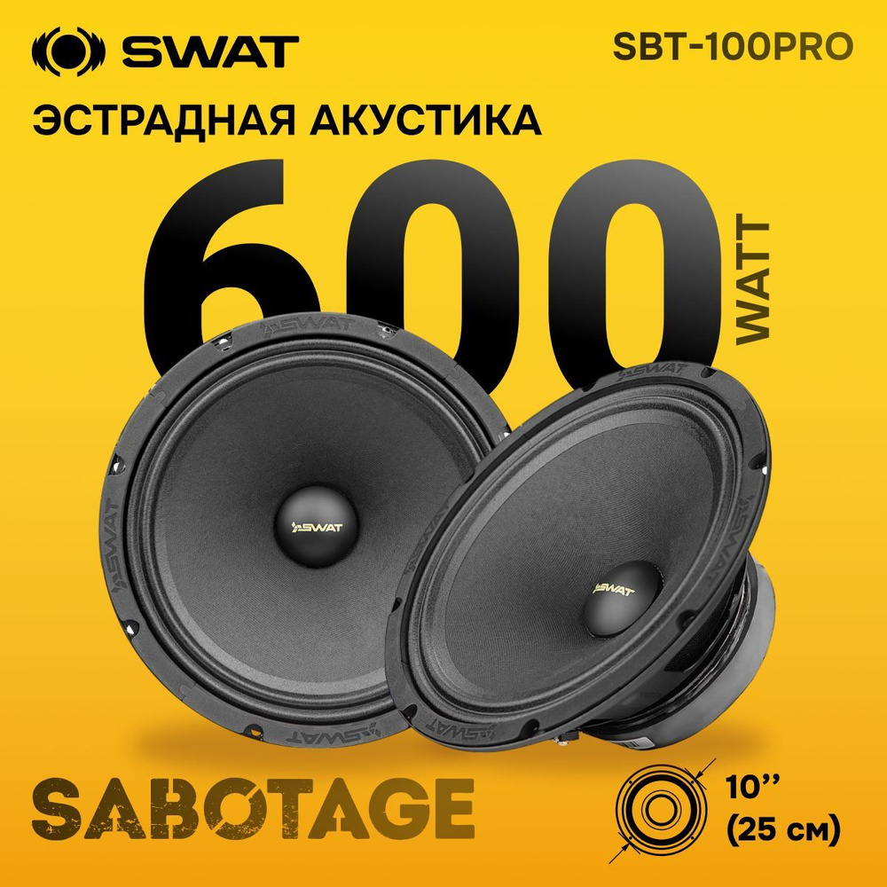 Эстрадная акустика в авто SWAT SBT-100Pro / в комплекте 1 шт #1