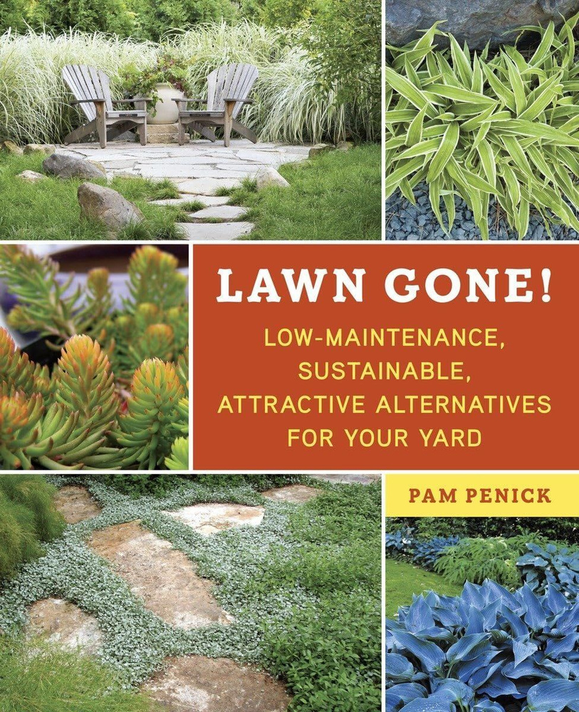 Lawn Gone! Low-Maintenance, Sustainable, Attractive Alternatives for Your Yard #1