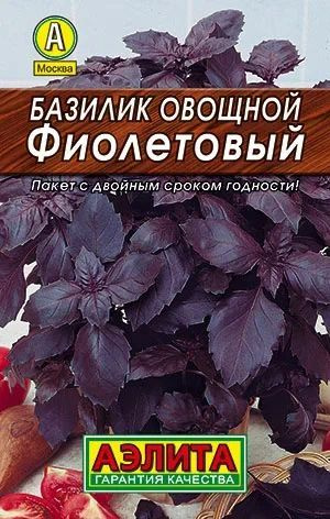 Семена Базилик овощной Фиолетовый #1