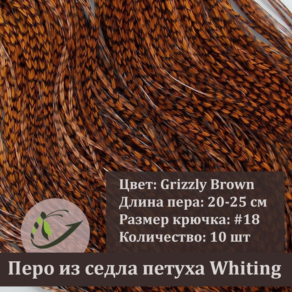 Перо петуха Whiting для вязания мушек, 10 шт, крючок #18, 20-25 см, цвет Grizzly Brown  #1