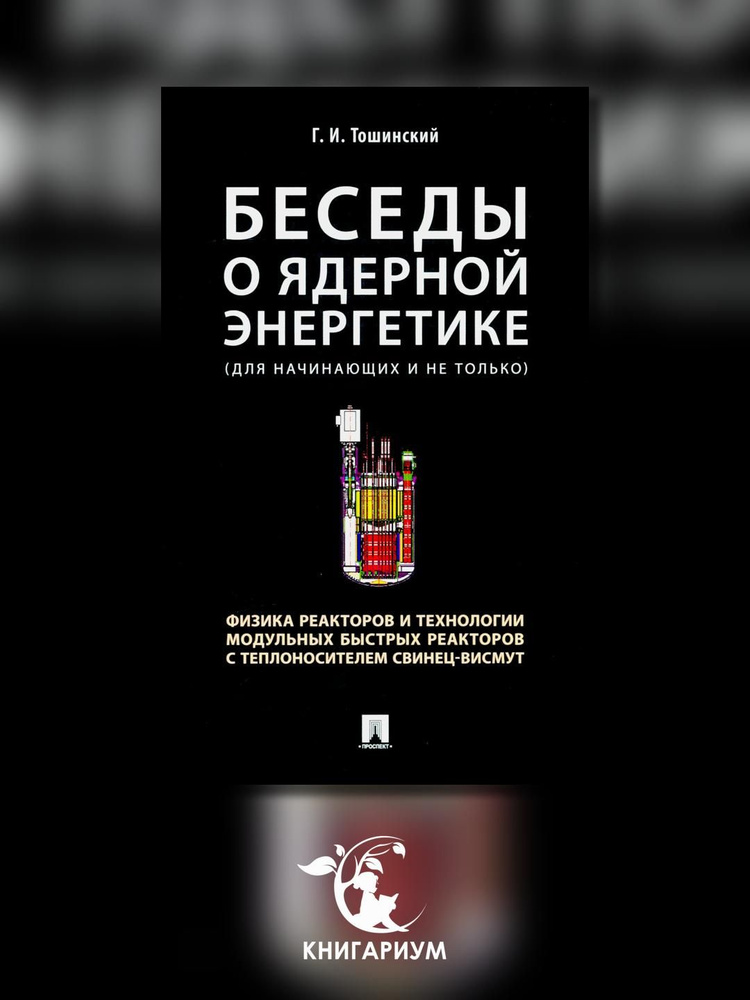 Беседы о ядерной энергетике, физике реакторов и технологии модульных быстрых реакторов с теплоносителем #1