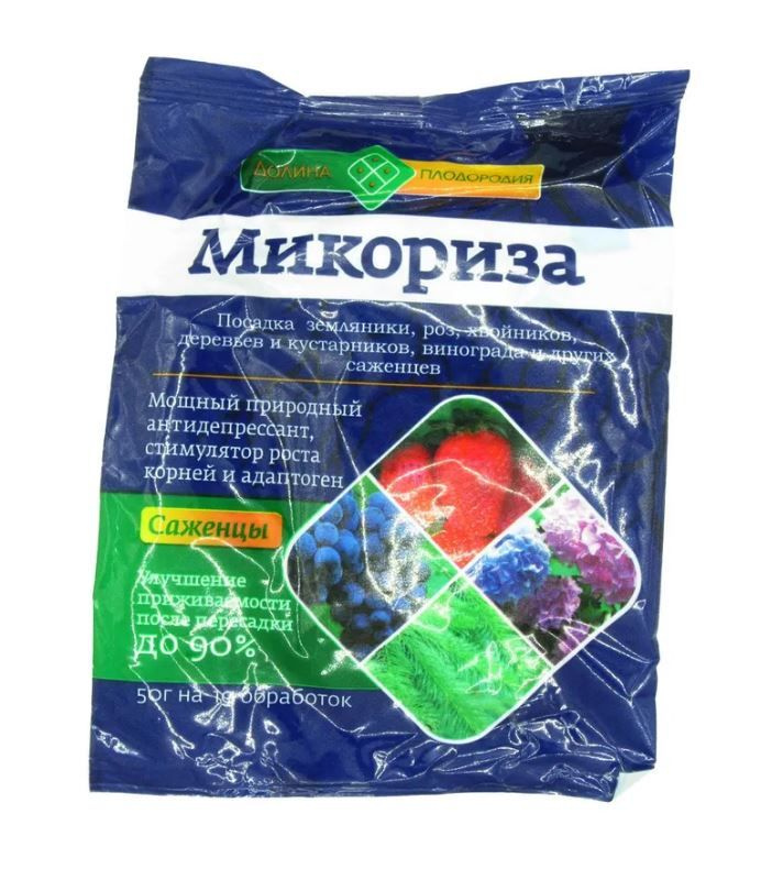 Микориза