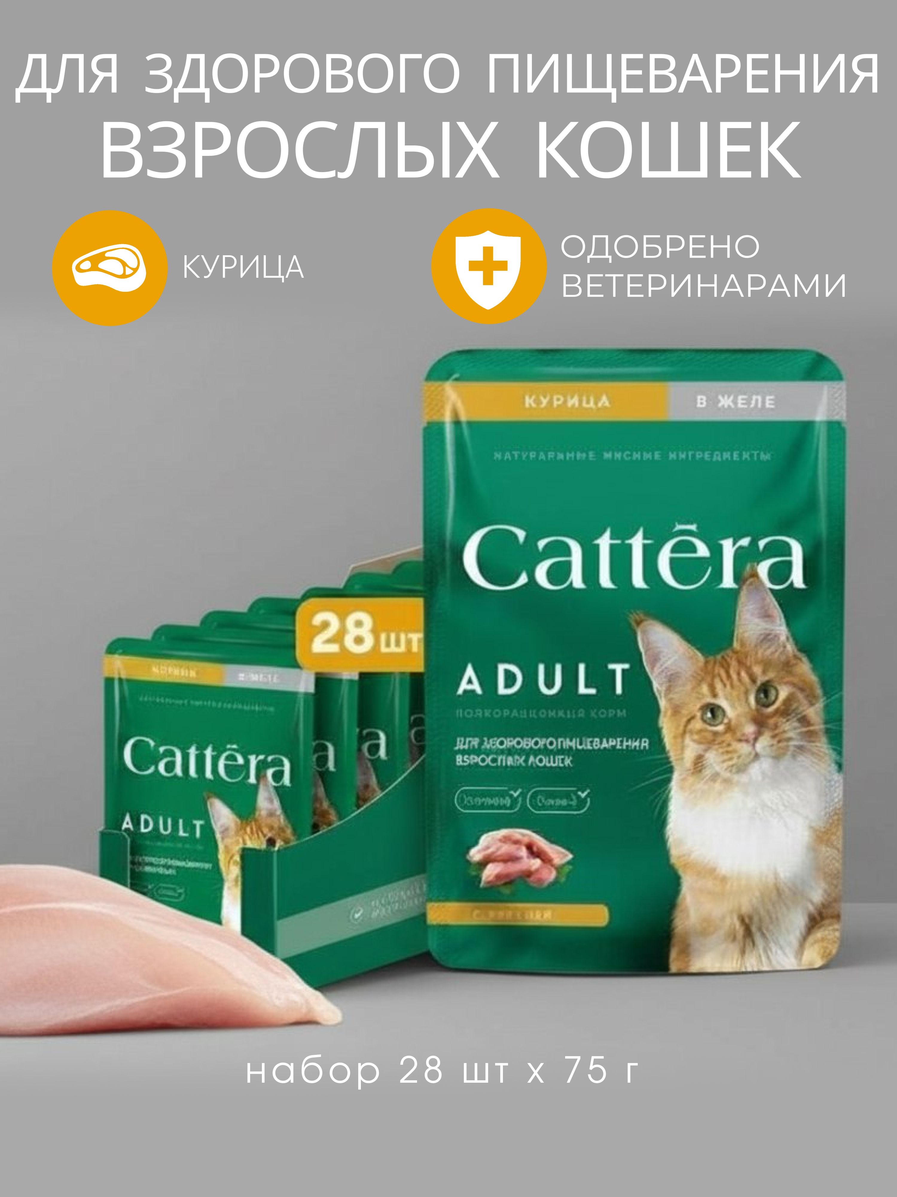 КормдлякошеквлажныйCatteraполнорационныйскурицейвжеле,дляздоровогопищеварениявзрослыхкошек,набор28штх75г