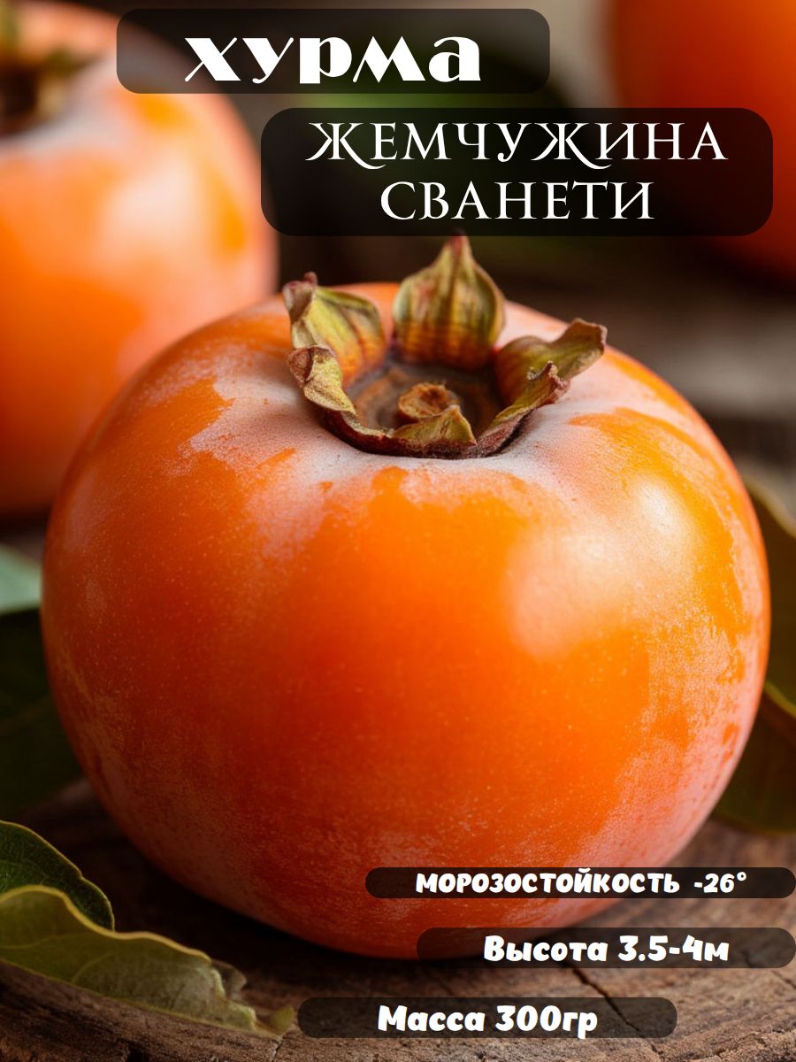 ХурмаЖемчужинаСванети,саженец1шт