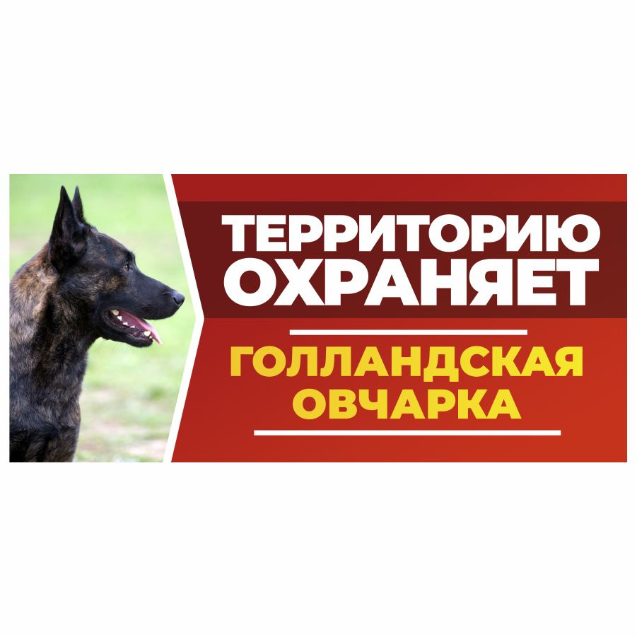 Табличка, DANGER DOG, Голландская овчарка, на забор, 30см х 14см  #1