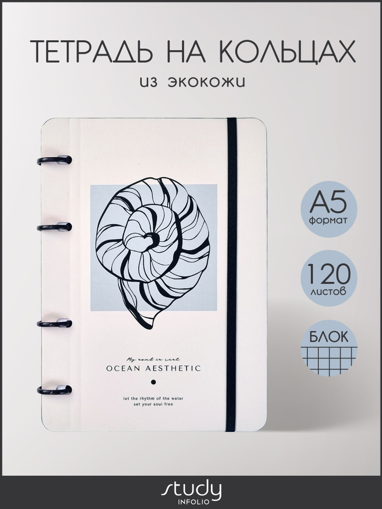 Тетрадь на кольцах общая Infolio Study "Shell", А5 на 120 листов в клетку, гибкая обложка из искусственной #1