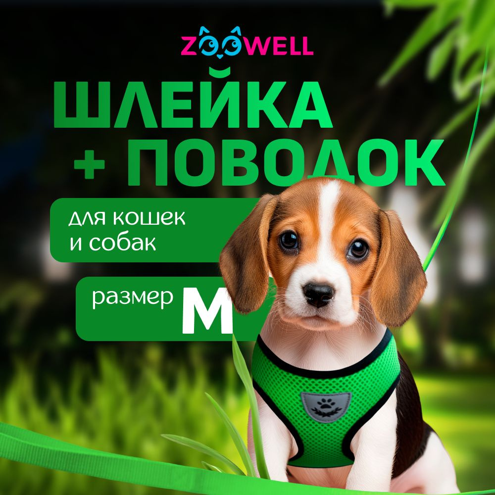 Шлейка и поводок для кошек, маленьких пород собак и хорьков ZOOWELL, набор для прогулок, зеленый размер #1