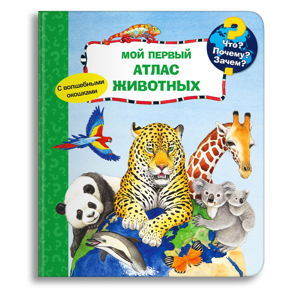 Книжка-игрушка с окошками для детей. Детская энциклопедия для обучения и развития мальчиков и девочек. #1