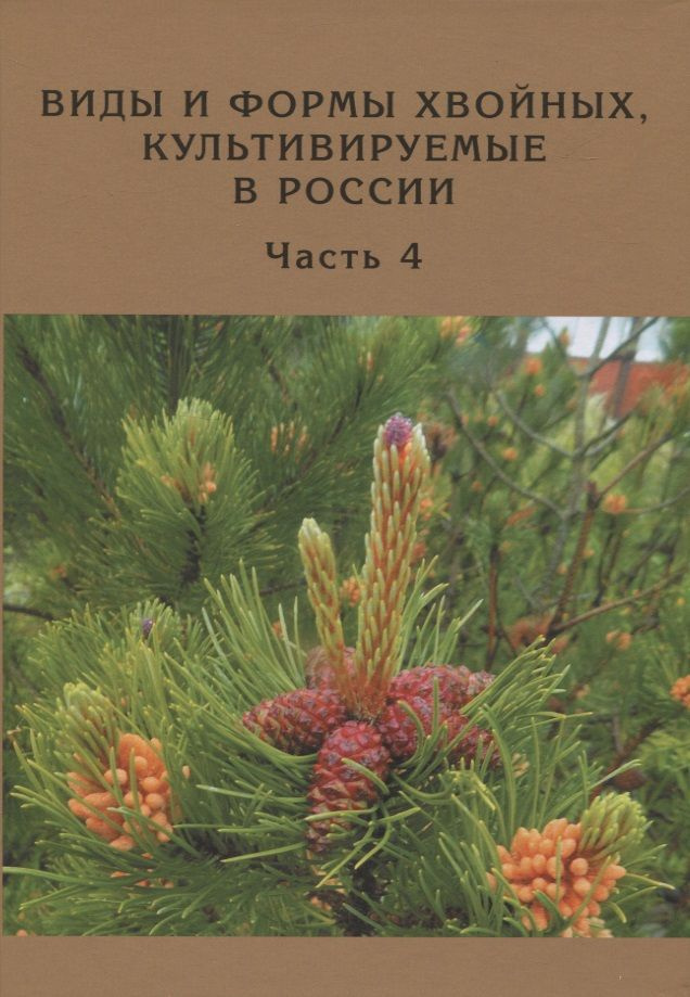 Виды и формы хвойных, культивируемые в России. Часть 4. Сосна  #1