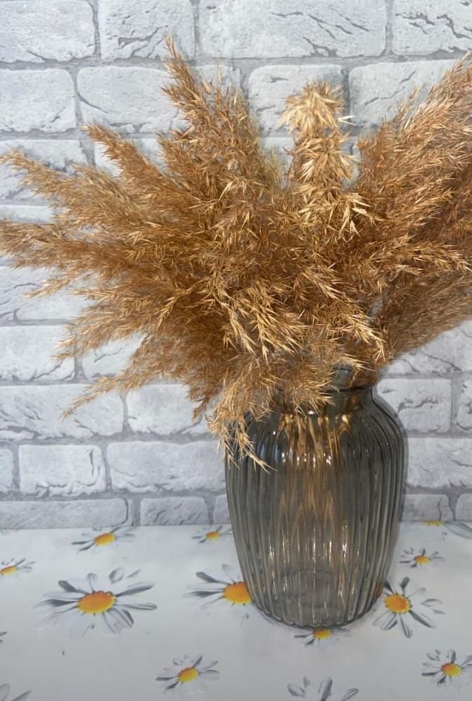 Сухоцветы Пампасная трава, 90 см, 200 гр, 9 шт #1