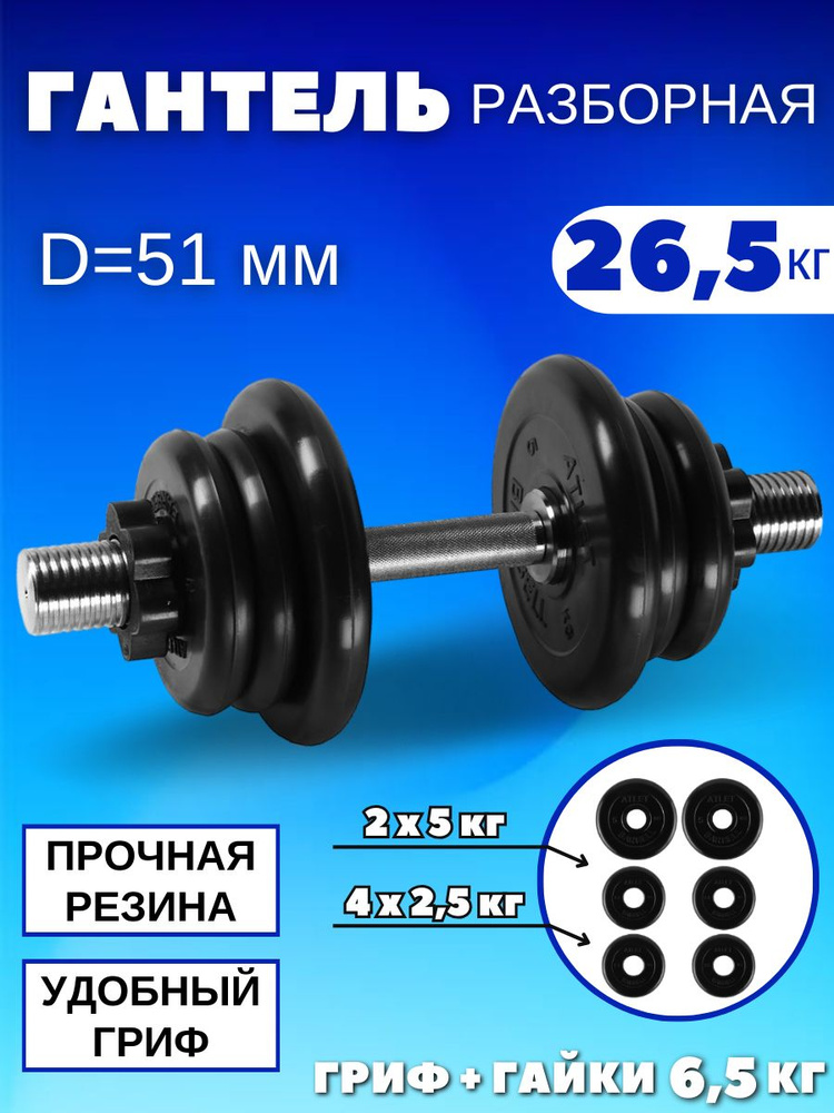 Гантели разборные 1 по 26.5 кг (D 51 mm) #1