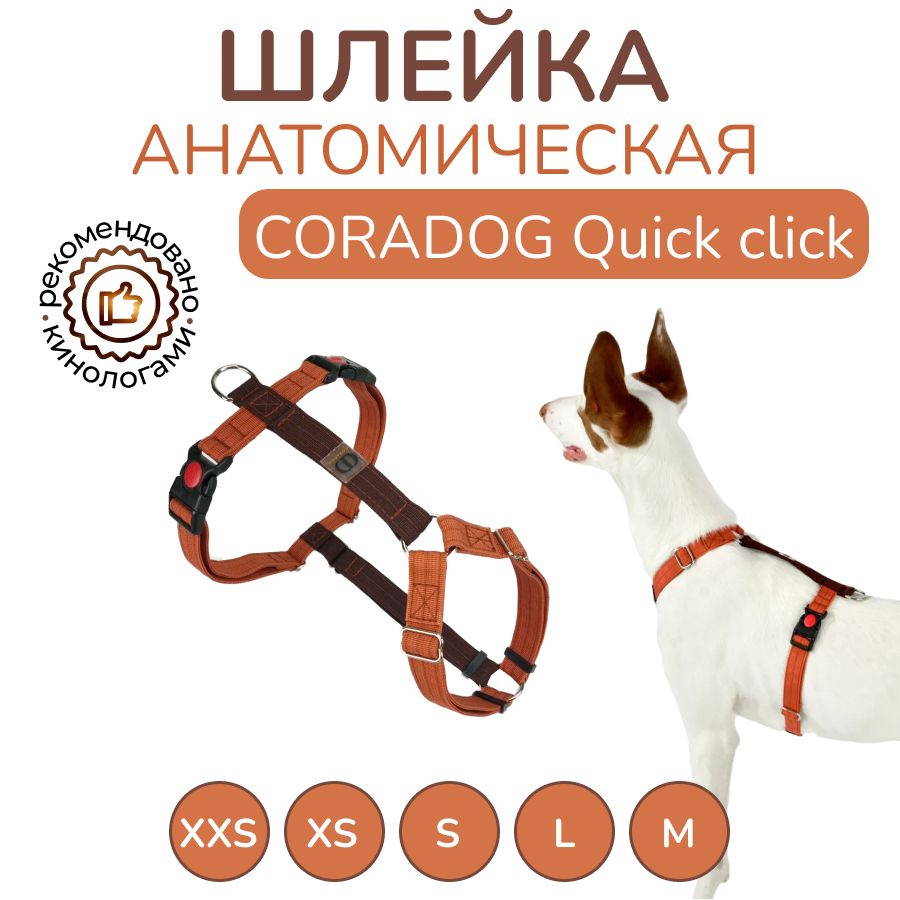 Шлейка прогулочная анатомическая для мелких пород собак и кошек, CORADOG Quick click, размер XXS, цвет #1