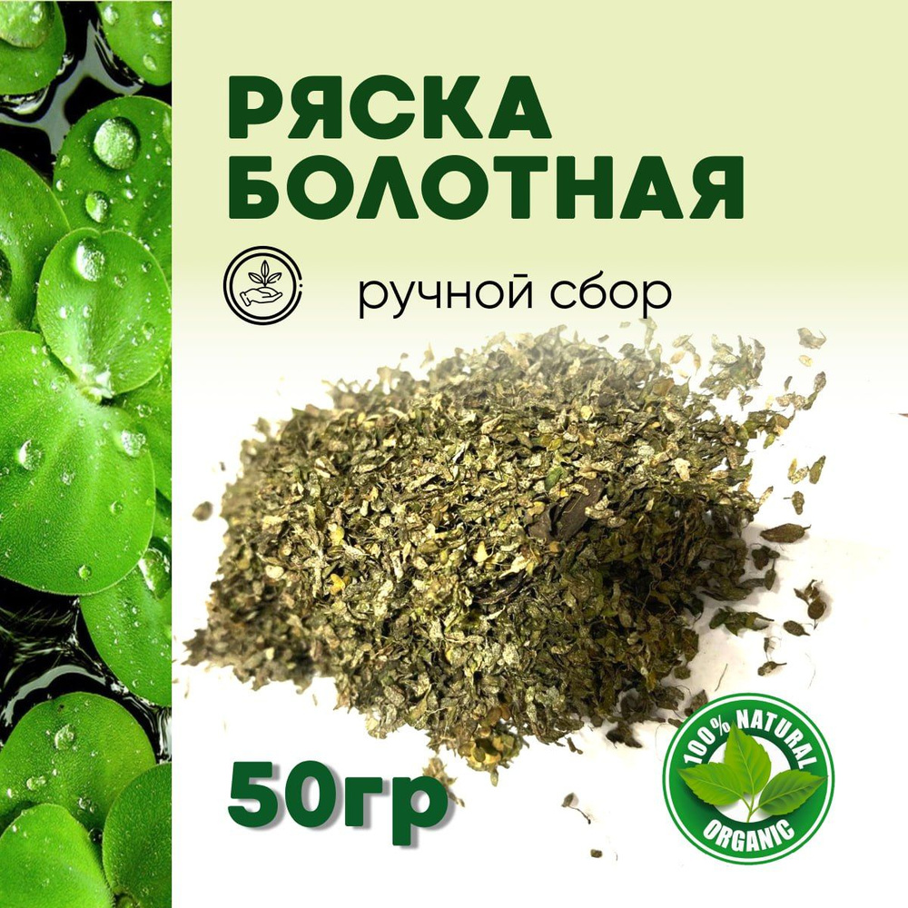 Ряска болотная, травяной сбор 50 гр #1