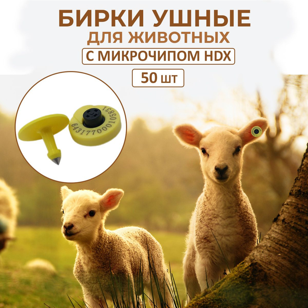 Ушные бирки для с/х животных с микрочипом HDX (50 шт) #1