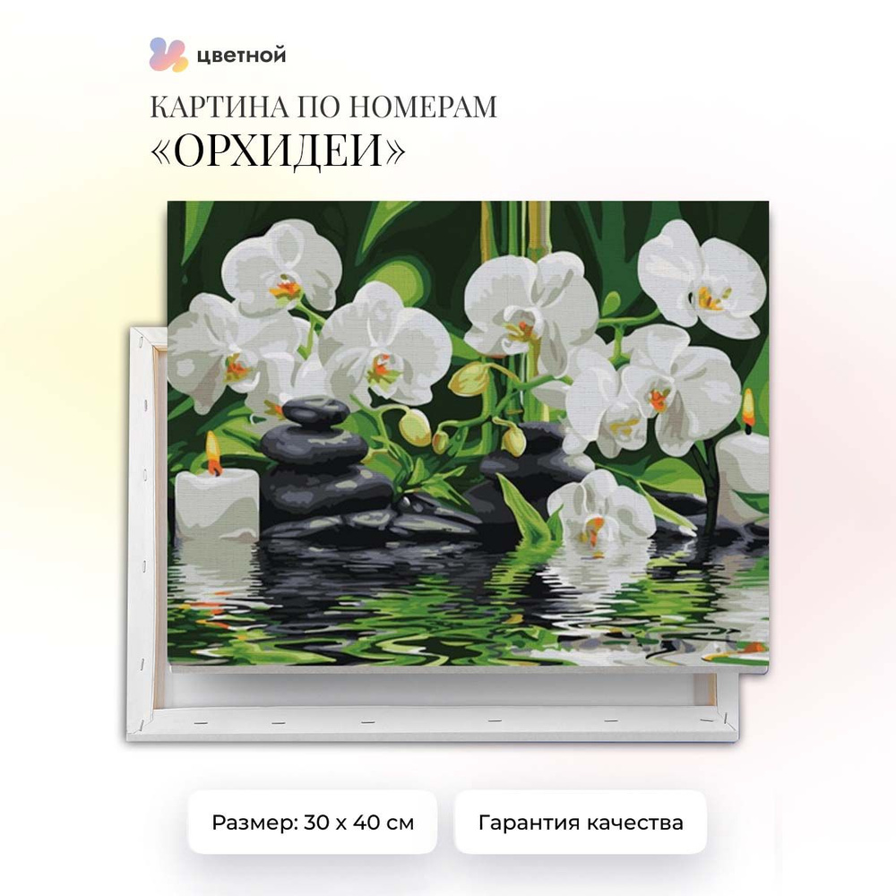 Картина по номерам 30х40 на подрамнике Орхидеи EX5261 ТМ Цветной  #1