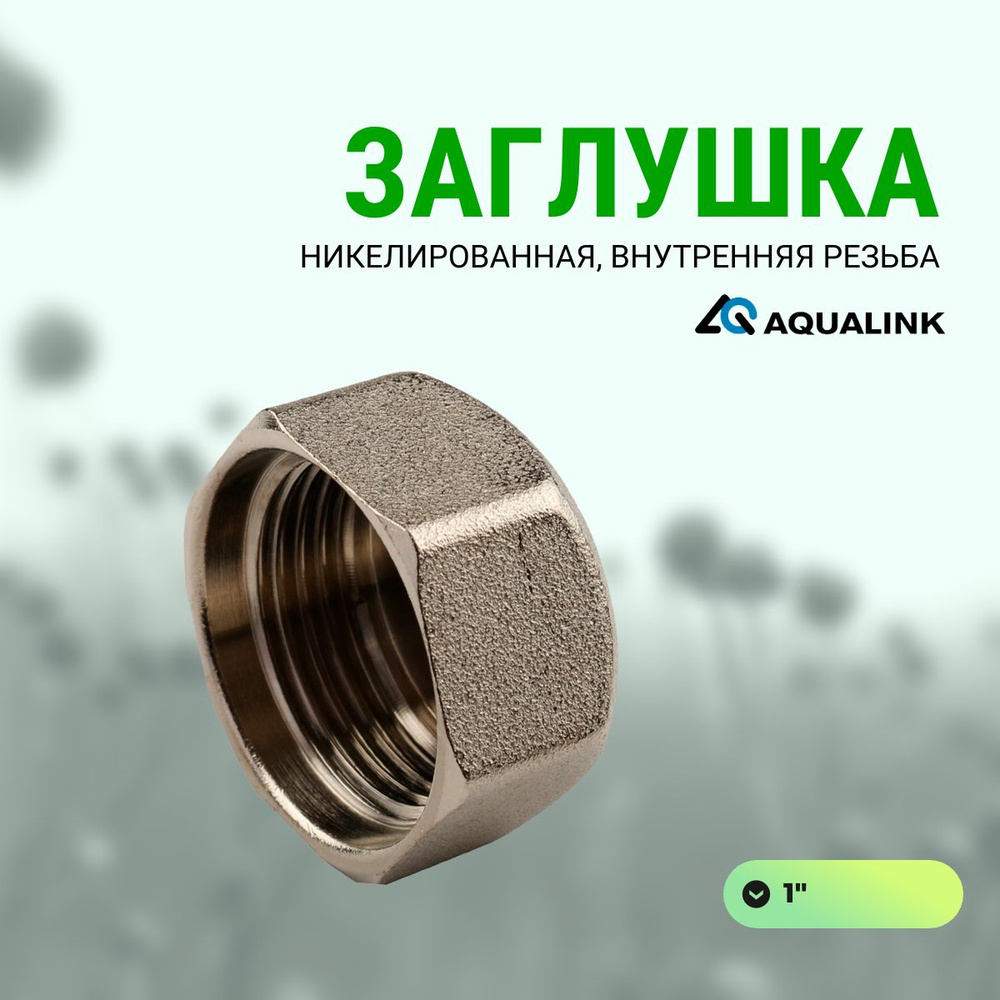 Заглушка AQUALINK внутренняя резьба (1" никелированная) #1