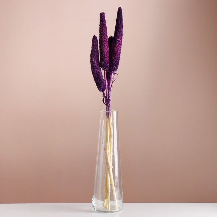 Сухоцветы для декора "Африканское просо" банч 3-5 шт, длина 60 (+/- 6 см) фиолетовый  #1