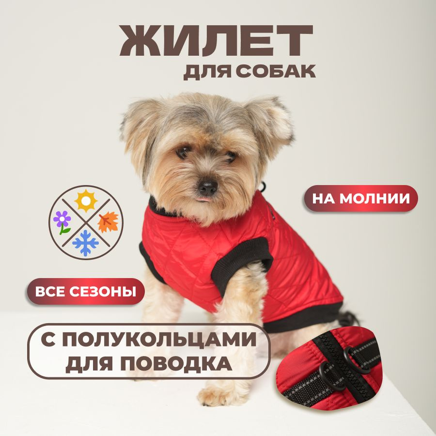 Жилет комбинезон для собак мелких и средних пород, куртка демисезонная, одежда для собак  #1