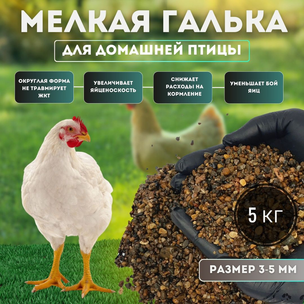 Корм для кур 5 кг. Мелкая галька - сечка речная, округлая, размер 3,0 - 5,0 мм, для домашней птицы, для #1