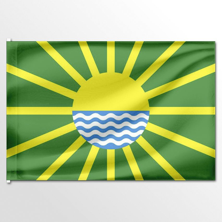 Флаг ЦТП ФЕНИКС города Яровое 135x90 см #1
