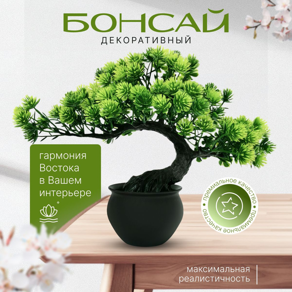 Дерево бонсай декоративное растение для интерьера , зеленое SHANTI  #1
