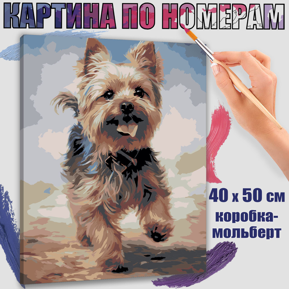 Картина по номерам 40x50 см. Йоркширский терьер: сияние на масле"  #1