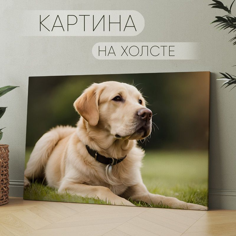 Арт Пространство Картина "милая собака Лабрадор ретривер (22)", 60 х 40 см  #1