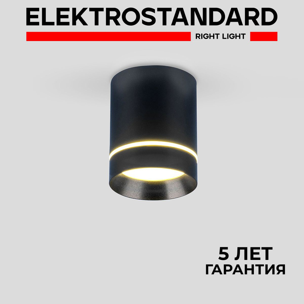 Потолочный светодиодный светильник с металлическим плафоном в современном стиле Elektrostandard DLR021 #1