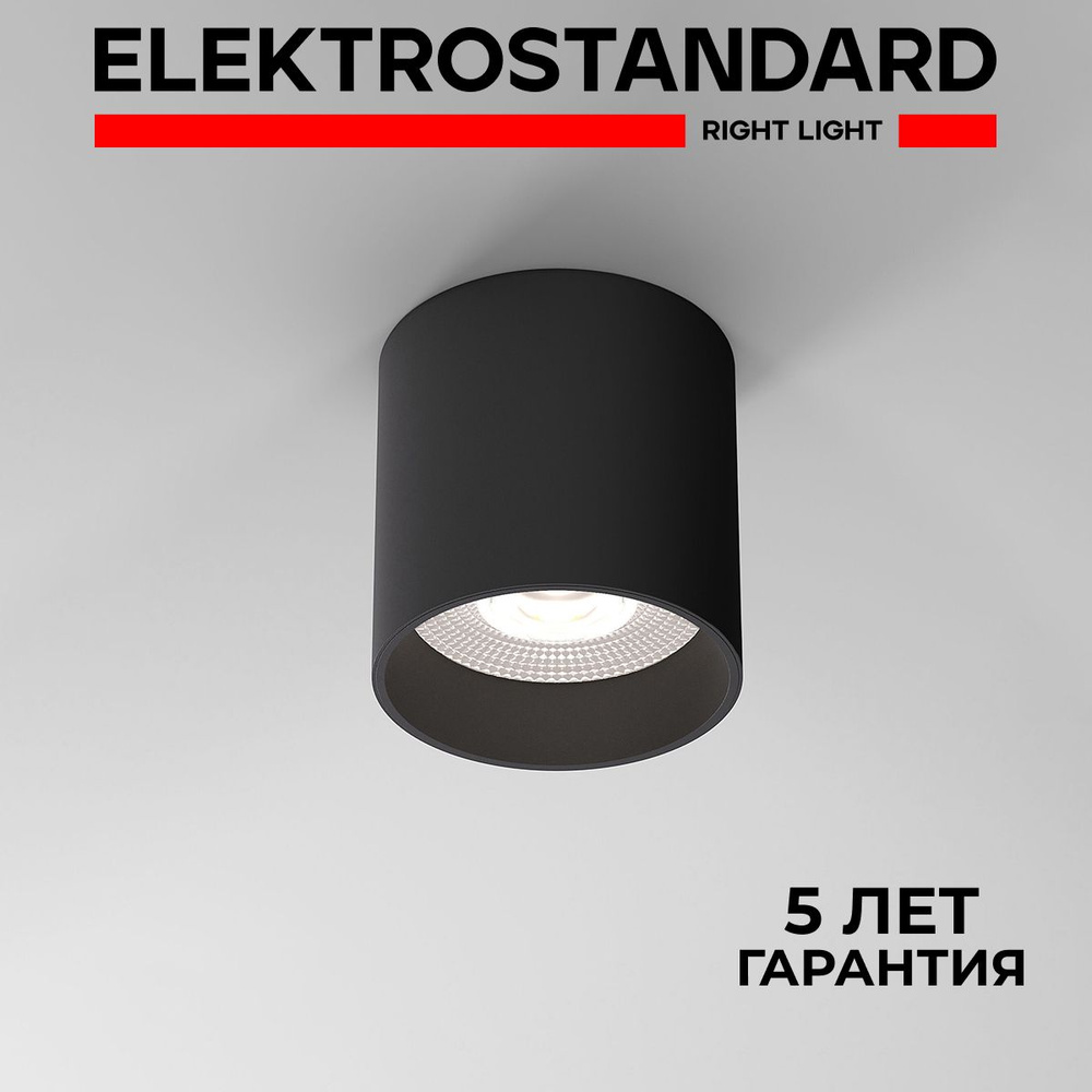 Светильник потолочный светодиодный в современном стиле Elektrostandard Orson 10W 4200K чёрный 25034/LED #1