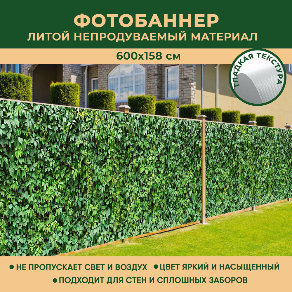 Фотобаннер Мечта для декора стен и сплошных заборов 600x158 см, "Зеленые листья" / Фотофасад  #1