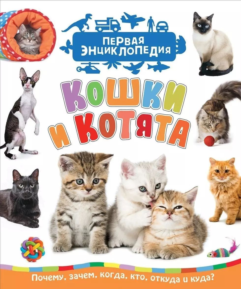 Кошки и котята (Первая энциклопедия) #1