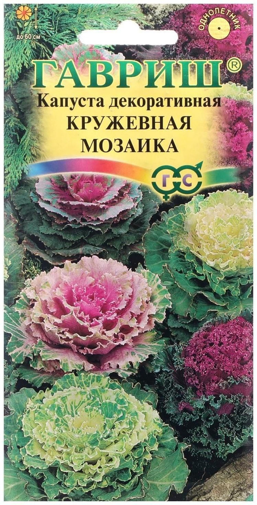 Семена цветов Капуста декоративная Кружевная мозаика, 0,1 г  #1