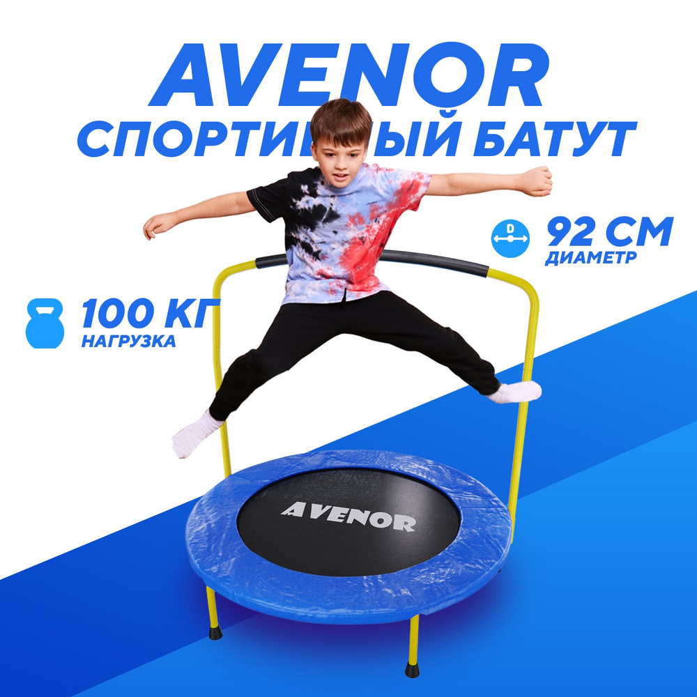 Батут с поручнем DFC BOUNCE MASTER 36" Dino #1