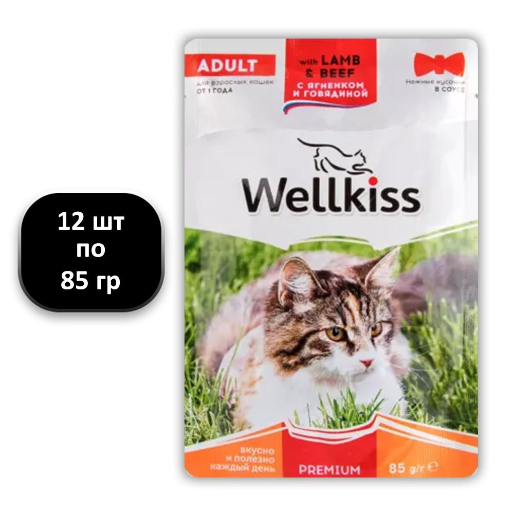 (12 ШТ.) 85 гр., Wellkiss, Adult, Влажный корм (пауч), для взрослых кошек, "ягненок и говядина в соусе" #1