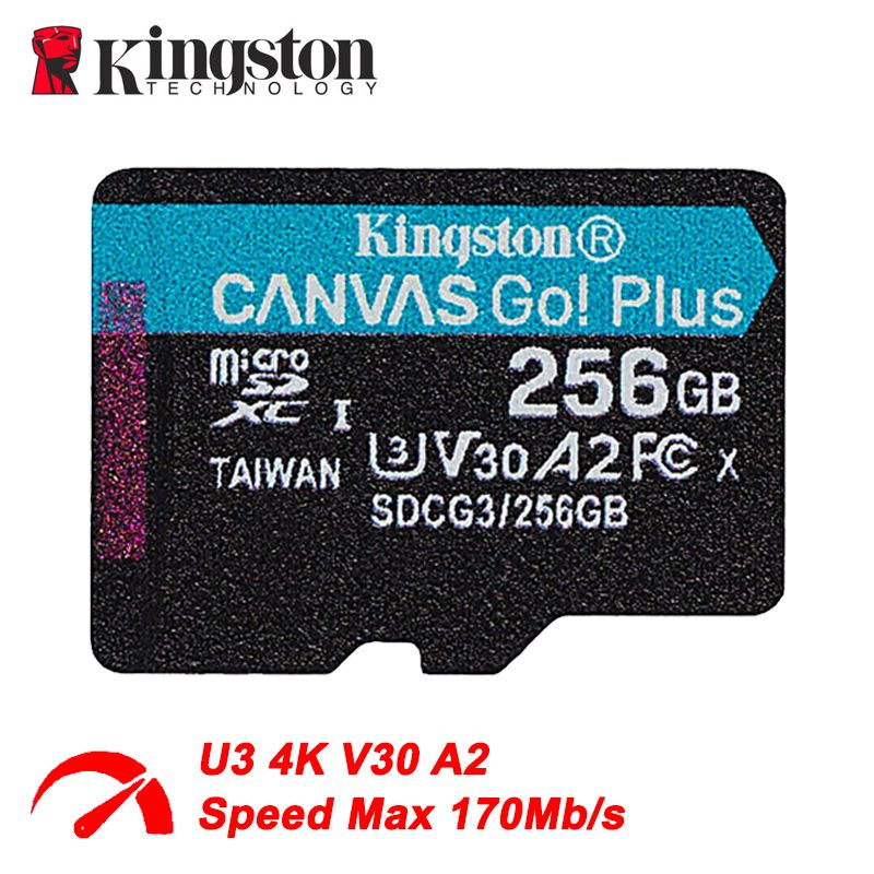 Kingston Карта памяти Canvas GO Plus 256 ГБ (SDCG3/256GB) #1