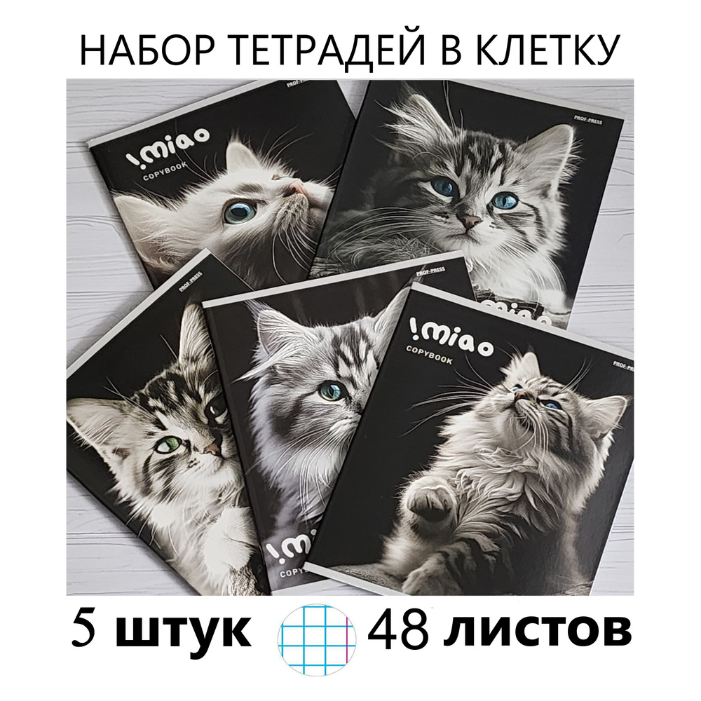 Тетрадь в клетку 48 листов Котики 5 штук Белые листы #1