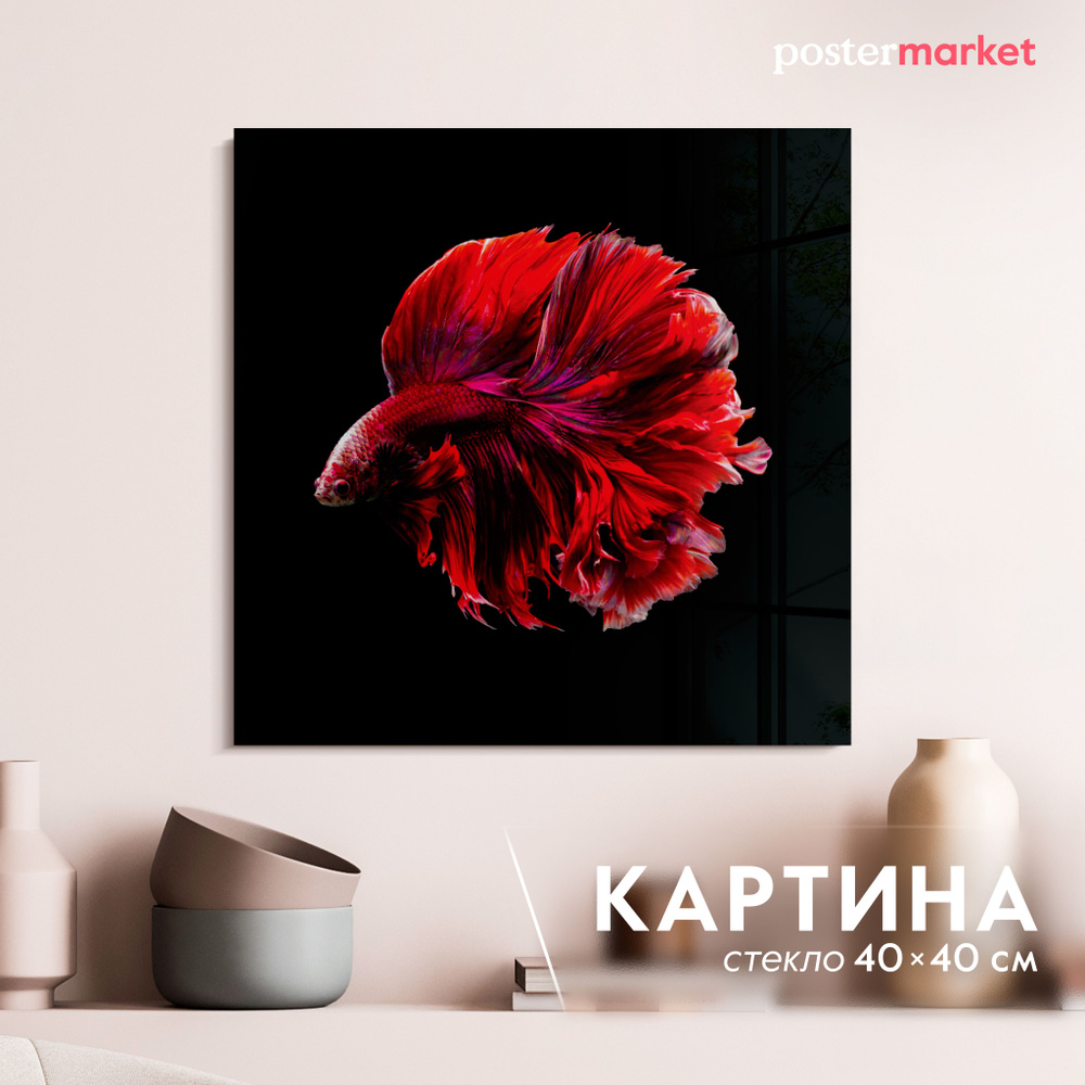 Картина на стекле Postermarket "Бойцовая рыбка", 40х40 см #1