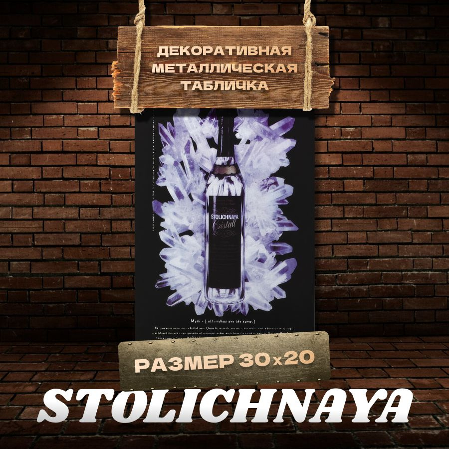 Табличка на стену металлическая декоративная STOLICHNAYA винтаж 20х30 см  #1