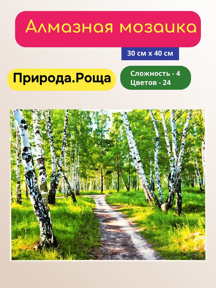 Алмазная мозаика на подрамнике 30 см 40 см, Природа.Роща 70958GB  #1