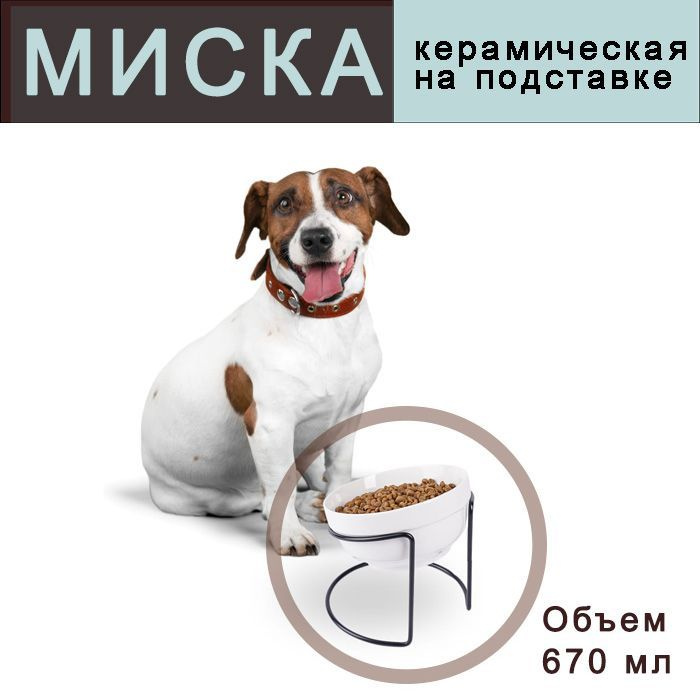 Миска керамическая на подставке с наклоном #1