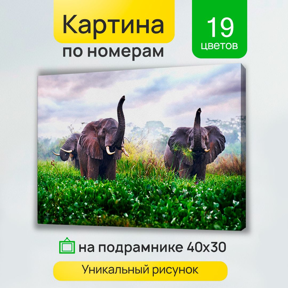 Картина по номерам на холсте с подрамником горизонтальная 30х40см. СЛОНЫ НА ПОЛЯНЕ. Палитра с красками #1