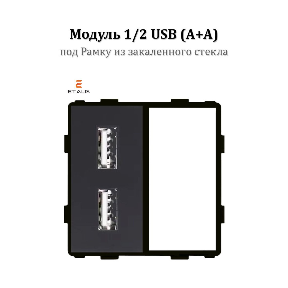 Розетка (модуль 1/2 без рамки) 2 USB (Type A + Type A) Etalis Черная под Рамку из закаленного стекла #1