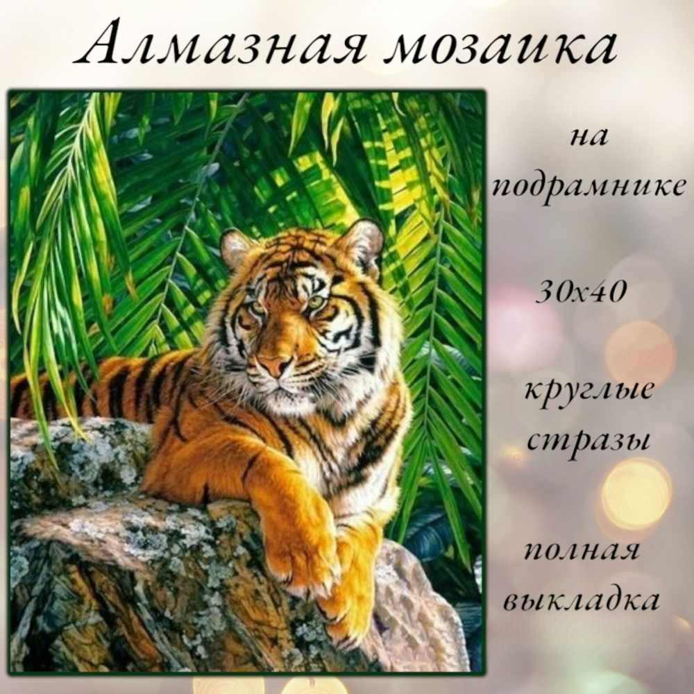 Алмазная мозаика,алмазная живопись на подрамнике 30х40 Картина стразами "Тигр на камне"  #1