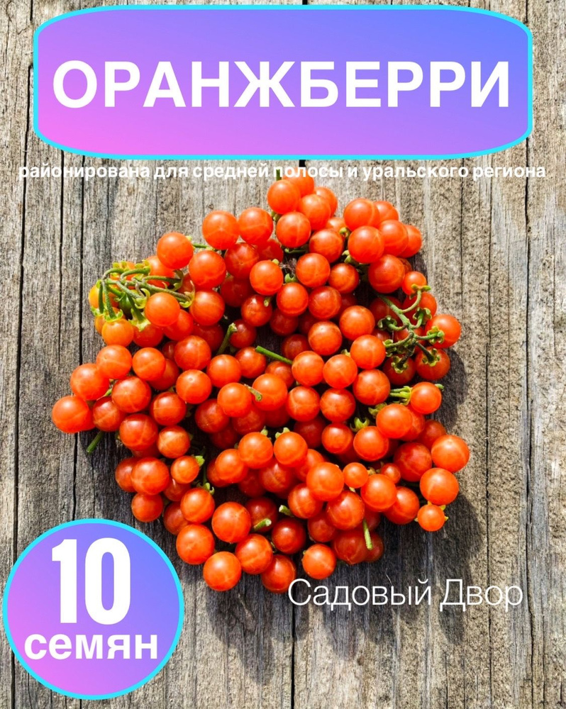 ОранжБерри (Оранжевая Черника), семена 10 шт, + рекомендация по агротехнике  #1