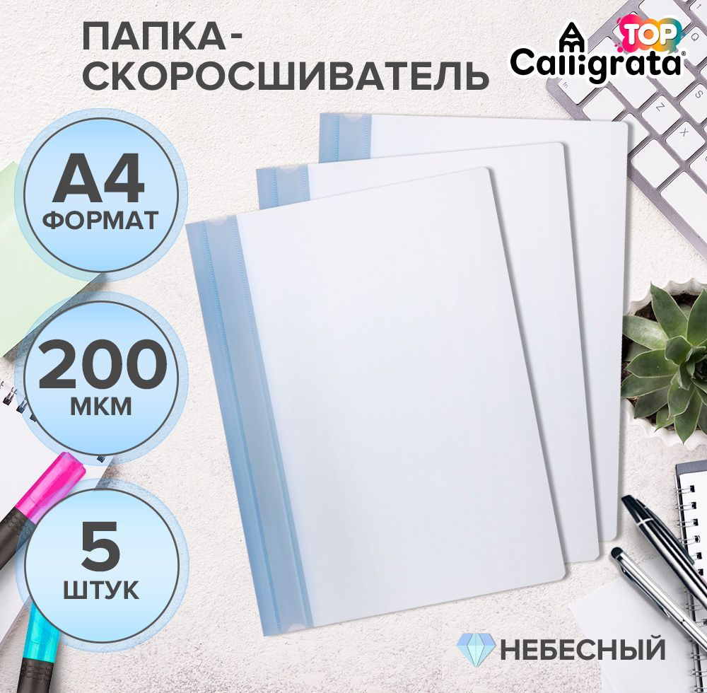 Набор папок-скоросшивателей А4, 200 мкм, Calligrata TOP Breeze, 5 штук, небесный  #1