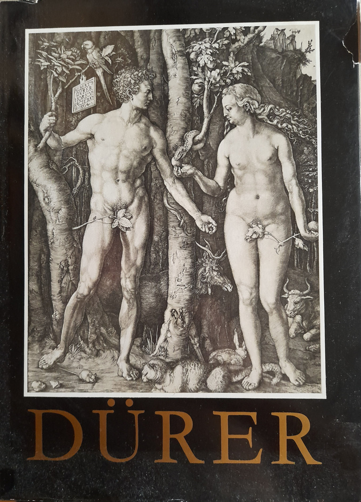 Durer #1